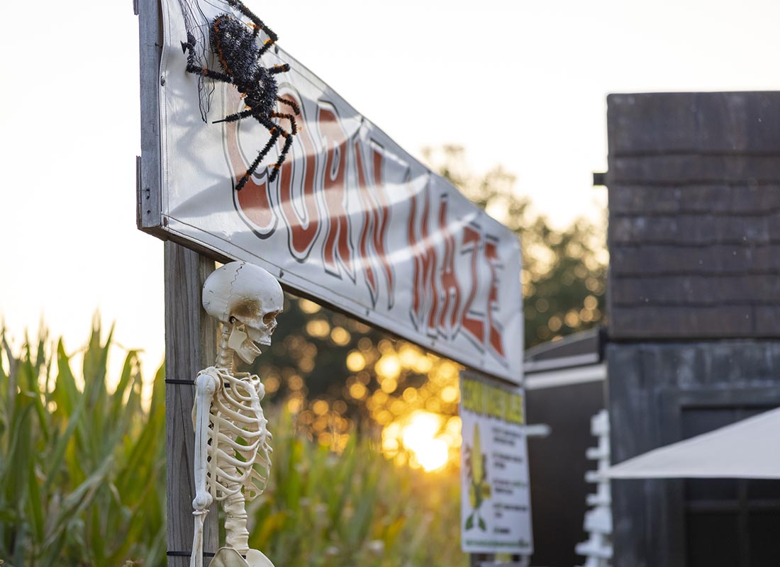 Haunted Attraction Insurance - Halloween Corn Maze Entrance During Sunset With Skeleton, Spider, and Barn in the Distance